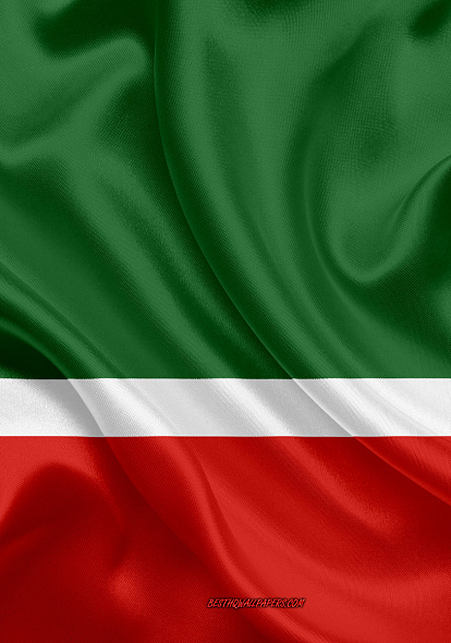 Национально-культурные объединения говорили о чеченском языке